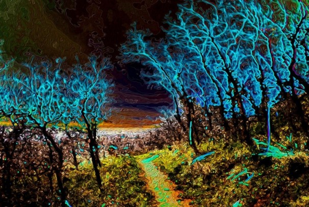 Enter If You Dare, David "Oz" Osterczy