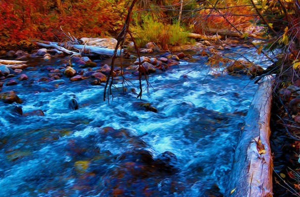 Fall Flowing, David "Oz" Osterczy