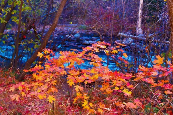 Fire and Water, David "Oz"Osterczy